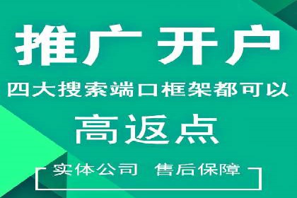 网络推广中竞价广告的投放策略及成功案例